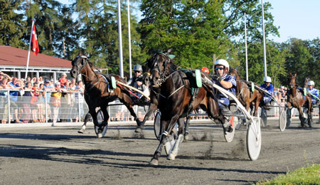 Ozzy Dalimo har l�bet for sidste gang