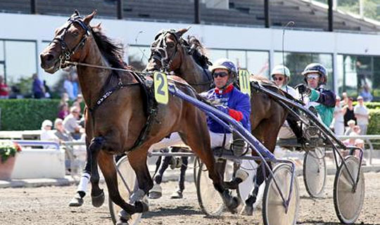 Rex O'malley mod comeback p� Bornholm