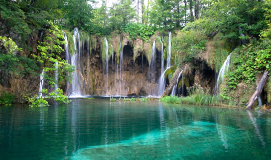 Europ�isk natur i Aakirkeby