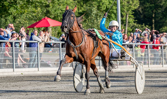 Jackpot p� travbanen