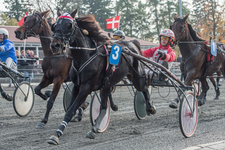 Mads k�rer b�de 8. og 15. juli
