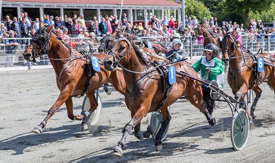 Pionerdag p� travbanen