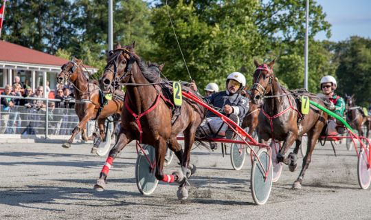 Stor travdag med teknikkoks