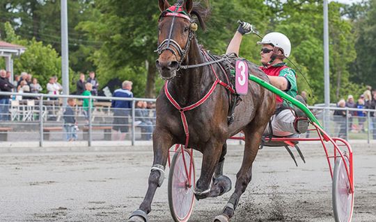 Ung licenshaver k�rer i Aalborg