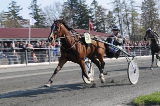 Ohio Speed mest spillet i V5