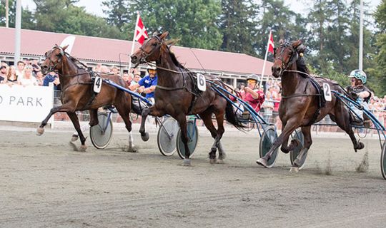 Millimeter afgjorde travderby