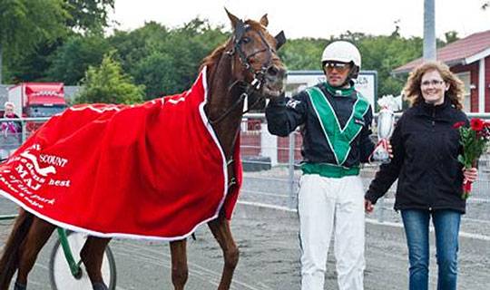 Ny udgave af BM-trav