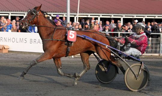 Hattrick til Frank Mikkelsen