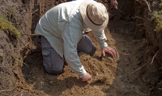 Museum graver i Nex�