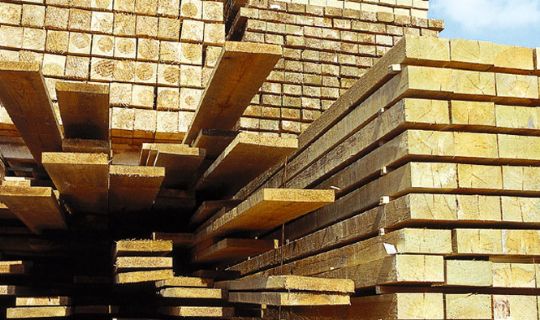 B�redygtigt tr� hos Fridolf