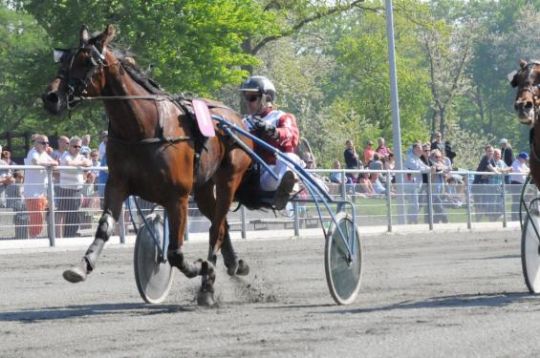 Brog�rd-manden g�ster Bornholm