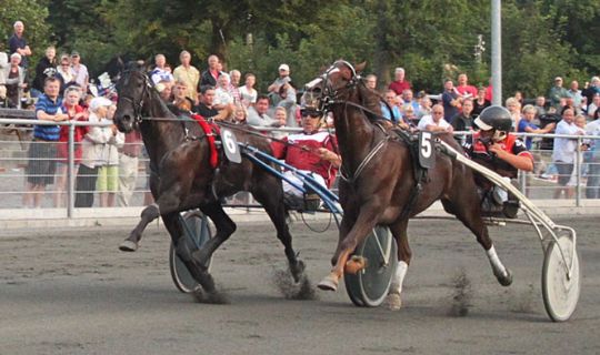 Utilfredshed med udtagelsesl�b