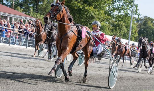 Max Brog�rd igen sikker mester