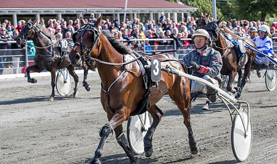 Outsider blev p� Bornholm efter sejr