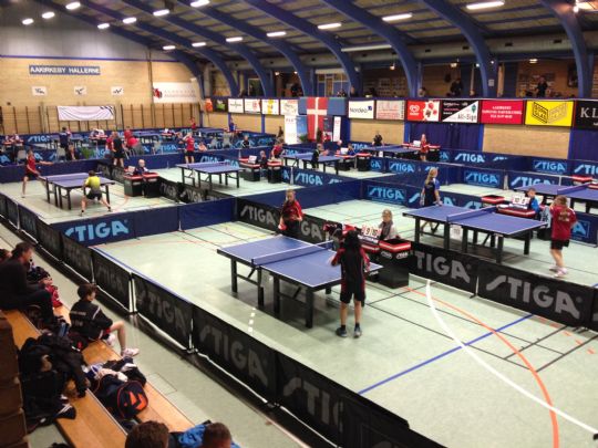 Bordtennis, bat, musik og en tusse