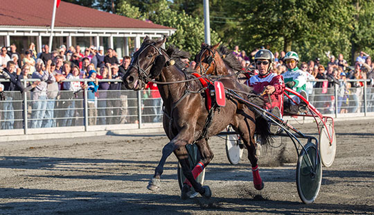 Favoritdag p� travbanen