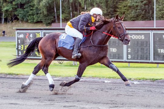 Hurtigtraver i bornholmsk debut