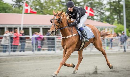 Bornholmsk DM-toer har forladt jorden