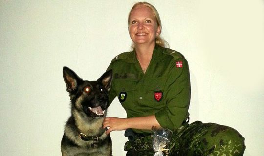 Vandt DM for HJV-hunde