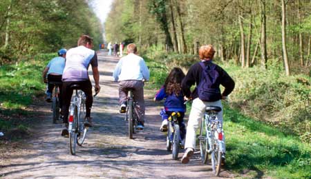 Skrinl�gger cykelstisprojekt