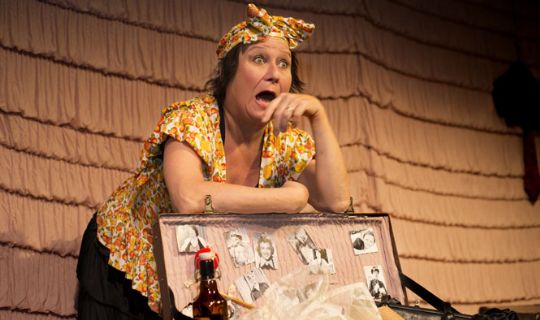 Revyaften p� Svanekegaarden