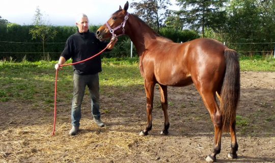 Alvor for Bornholm Nu