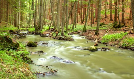 Tilpasning af Tevandsb�kken