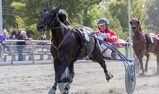 Gommans fik liv i DM-forh�bninger