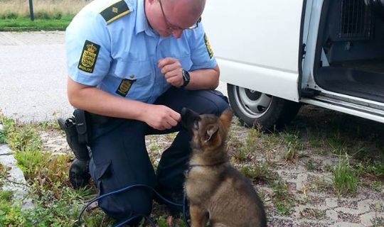 Lille l�rling i politiet