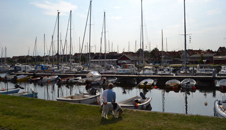 Kommunen vil fjerne b�de