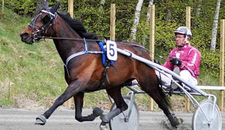 Cosmopolitan foran milj�skifte