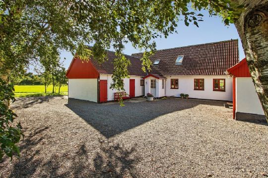 Velholdt hesteejendom