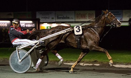 BM-revanche til Hector Brog�rd