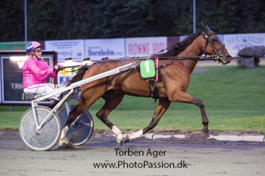 10 heste p� holdet i �r