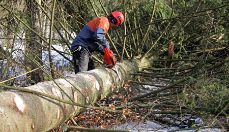 Bl�sten v�ltede fem tr�er