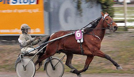 Veteranen bedst i Skive