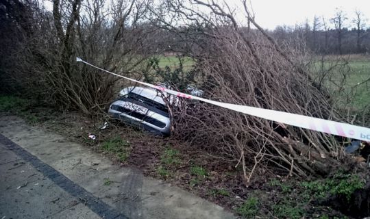 25-�rig i solouheld i Nex�