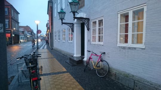 Tjetjensk tyv skal udvises