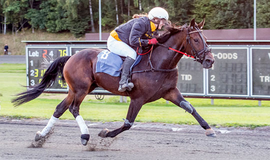 Bornholms bedste montehest har forladt jorden