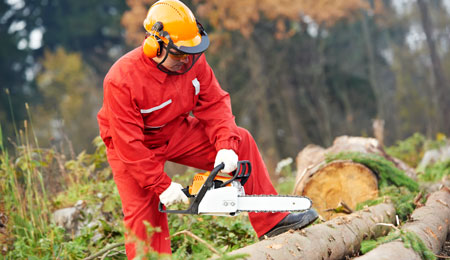 80-�rig dame tiltalt for h�rv�rk