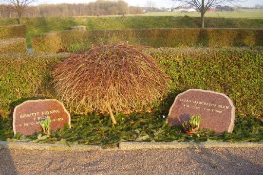 Fr�kt tyveri fra gravsted i Nylars