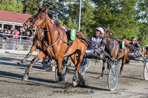 Bedste s�son for travtr�ner siden 2012