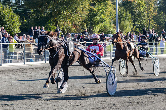 Dramatisk travdag for ung kusk
