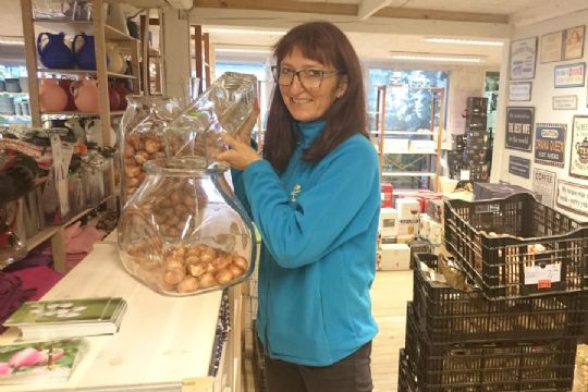 Blomsterl�g i Mollys Verden