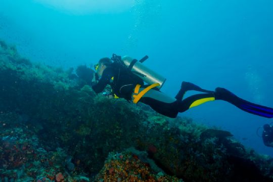 Dykkere har forg�ves ledt efter vrag