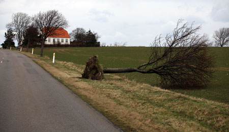 DMI: Risiko for vindst�d af stormstyrke