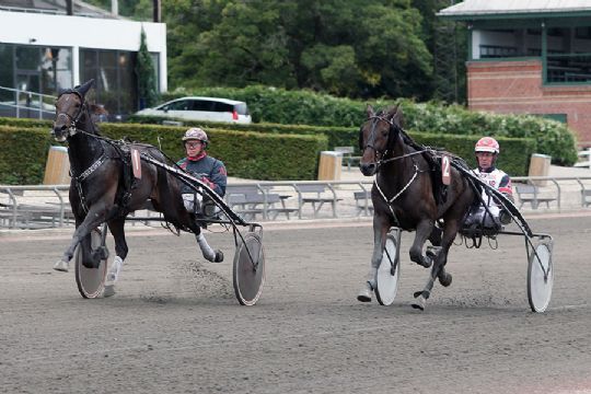 Bornholmere med i m�nedens hest i Lunden