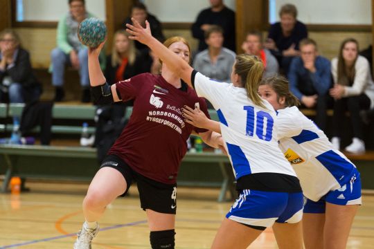 NH-sejr over bundhold