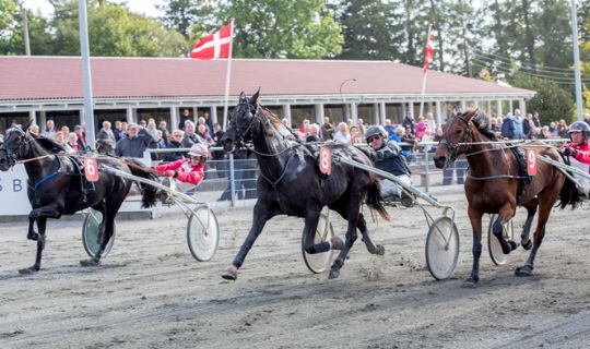 Travbanen omsatte for knap 7,6 mio. kr.