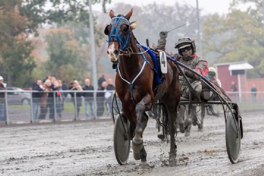 S� er Bornholms champion indhentet